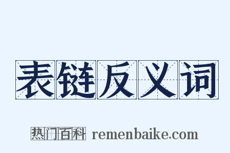 表链反义词是什么意思的图片